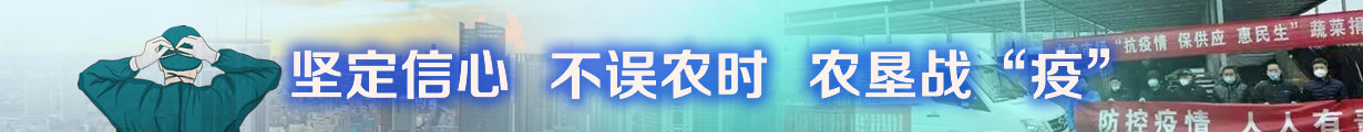 农垦战“疫”