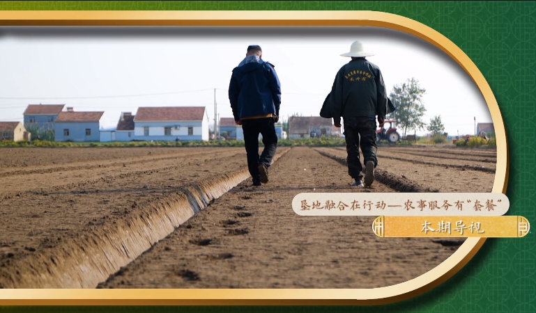 乡土中国-垦地融合在行动-4：《农事服务有“套餐”》