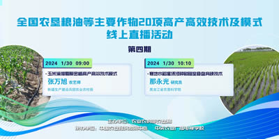 农垦公益大讲堂：全国农垦粮油等主要作物20项高产高效技术及模式线上直播（四）