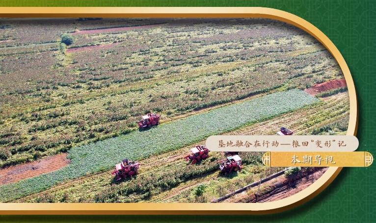 乡土中国-垦地融合在行动-1：《粮田“变形”记》